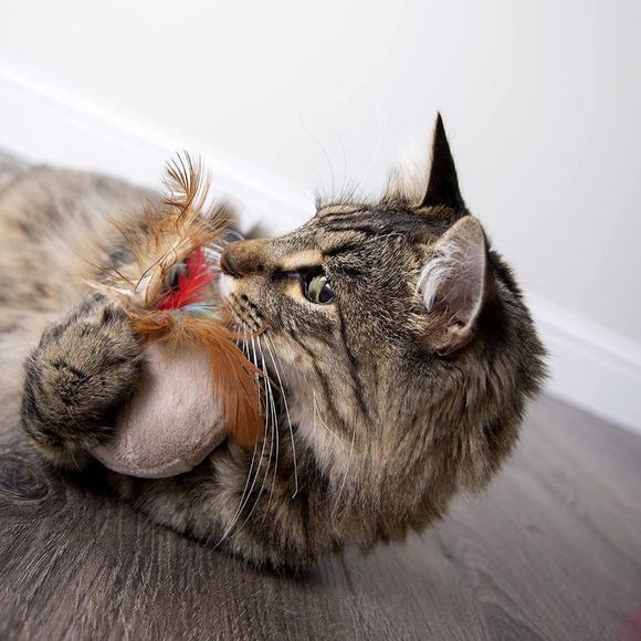 SmartyKat Chit Chatter Electronic Sound Cat Toy, Battery Powered - Picture 7 of 7